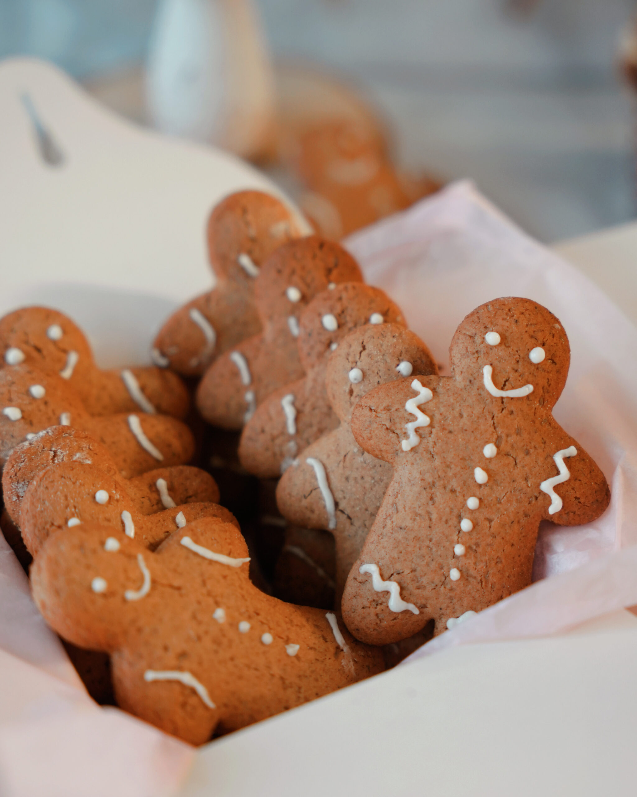 GingerBread Man (Édition Limitée)