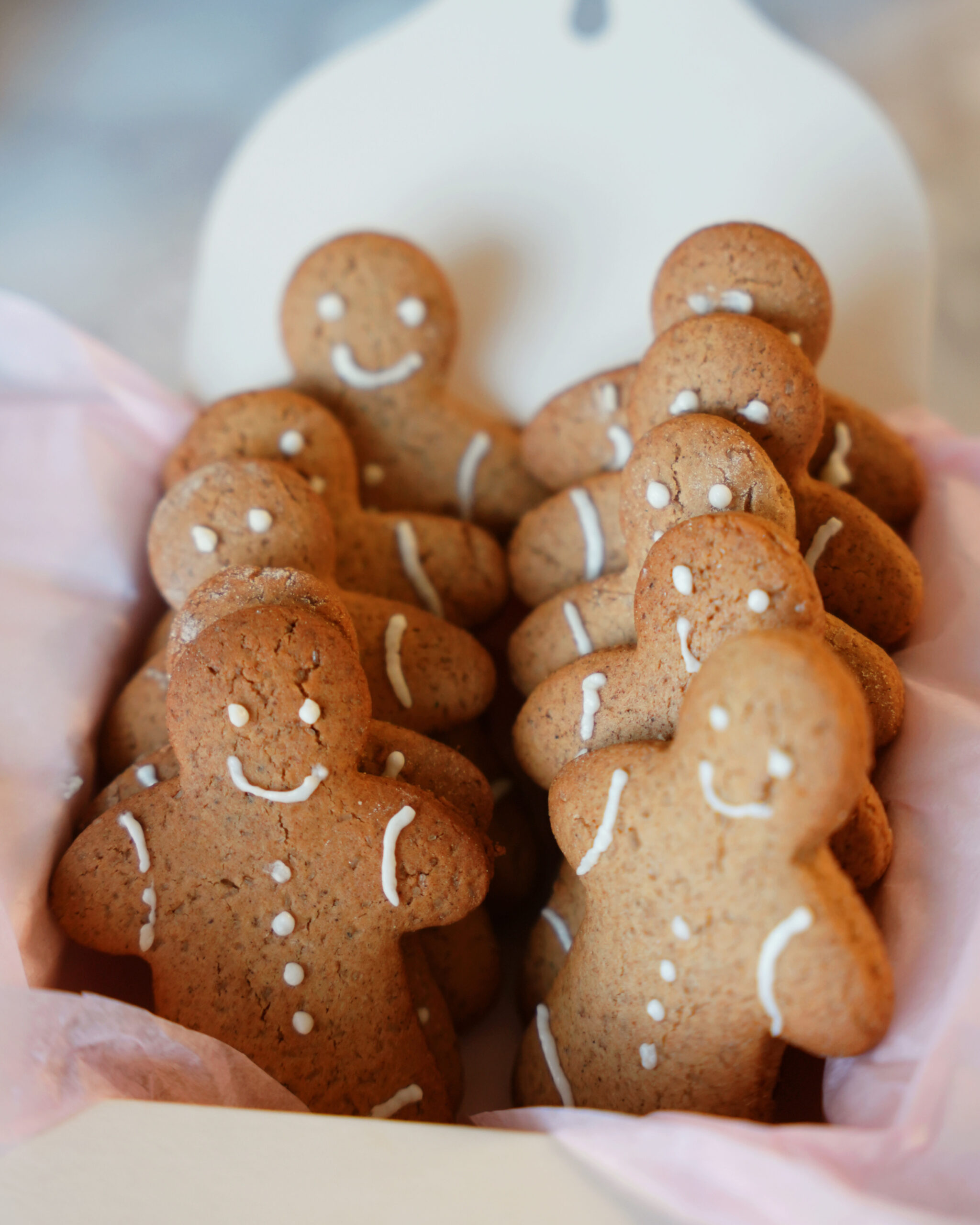 GingerBread Man (Édition Limitée) – Image 3