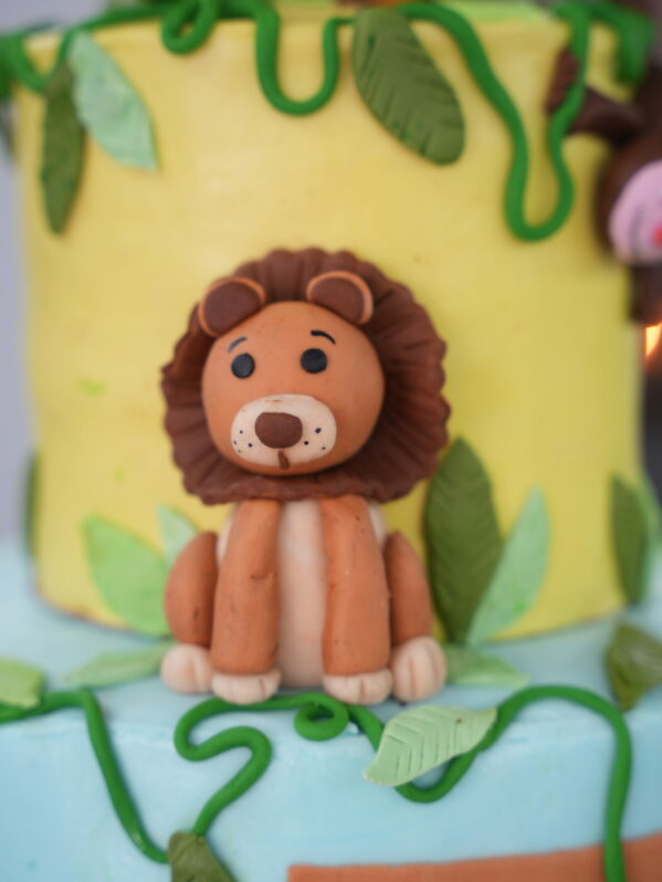 Cake Design – Image 17