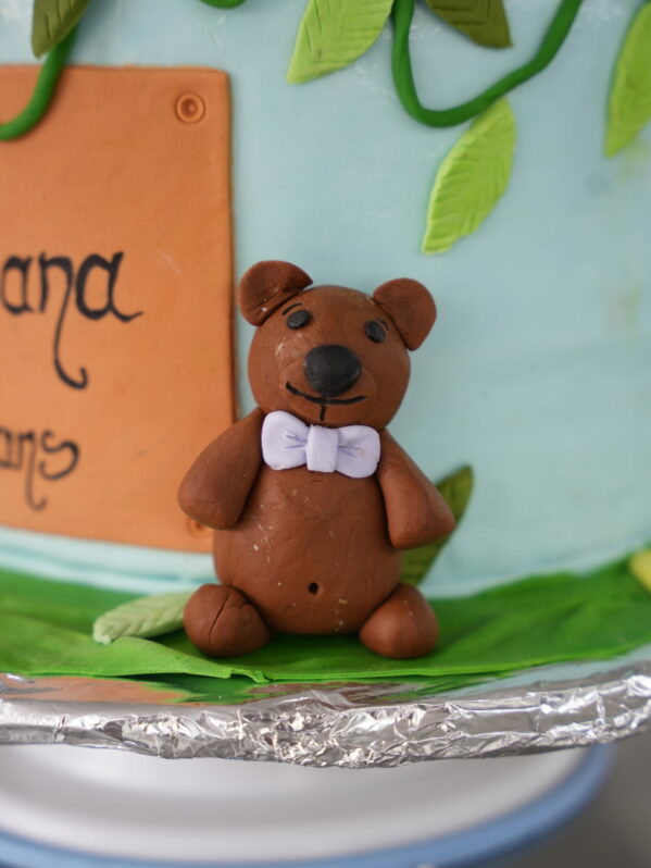 Cake Design – Image 13