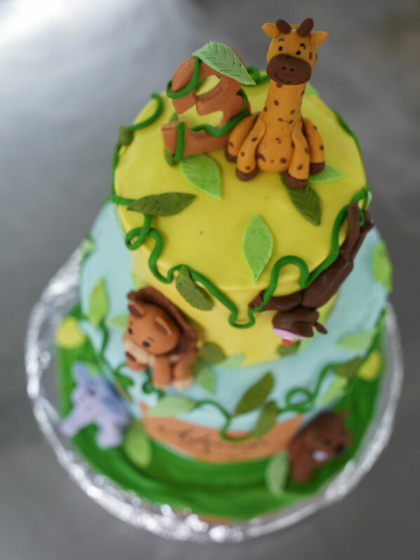 Cake Design – Image 14